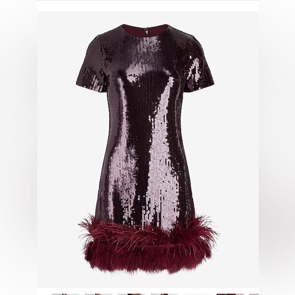 - Sequin feather dress